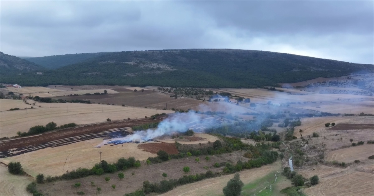Çorum-Samsun yolunda anız yakan kişi dronla görüntülendi, 3 bin 706 lira ceza aldı