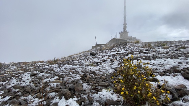 Sonbaharda Erzurum'a kış geldi! Zirve beyaza büründü