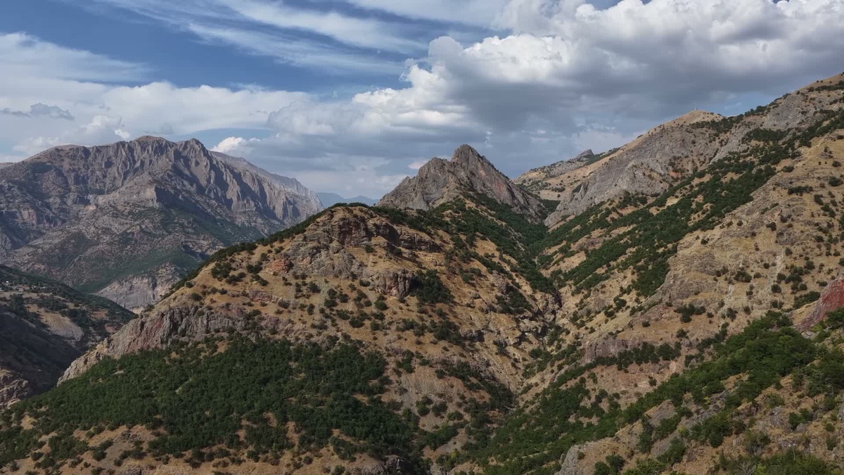 Tunceli\'de Hüseyin Yalnız, 45 yıl sonra döndüğü Peter Köyü için yol ve köprü istedi