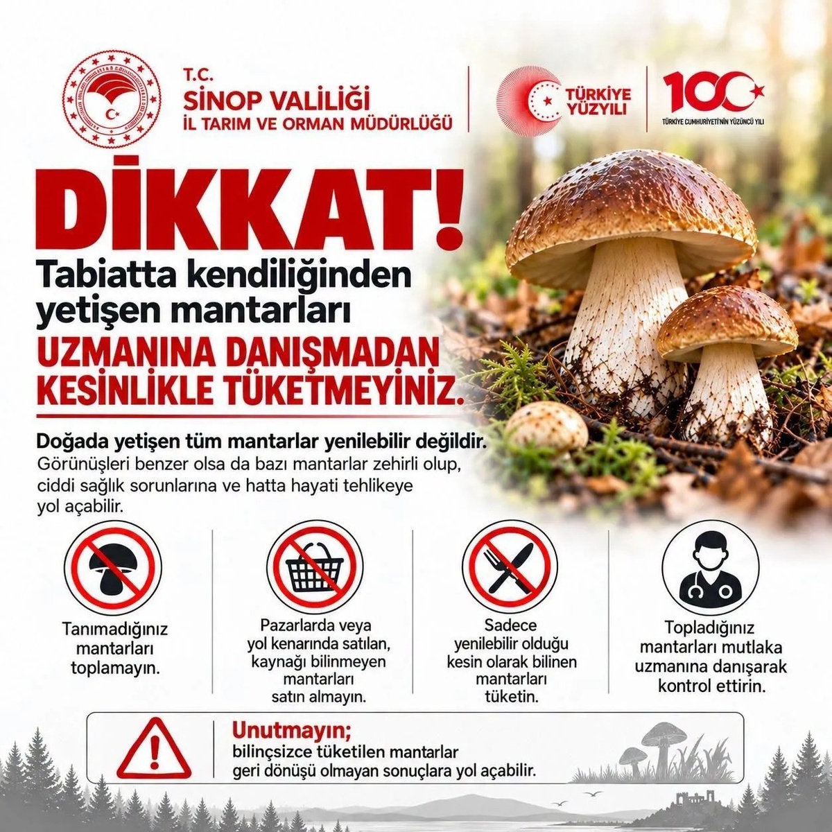 Yağışlar artınca Sinop İl Tarım ve Orman Müdürlüğü ölümcül zehirlenme uyarısı yaptı