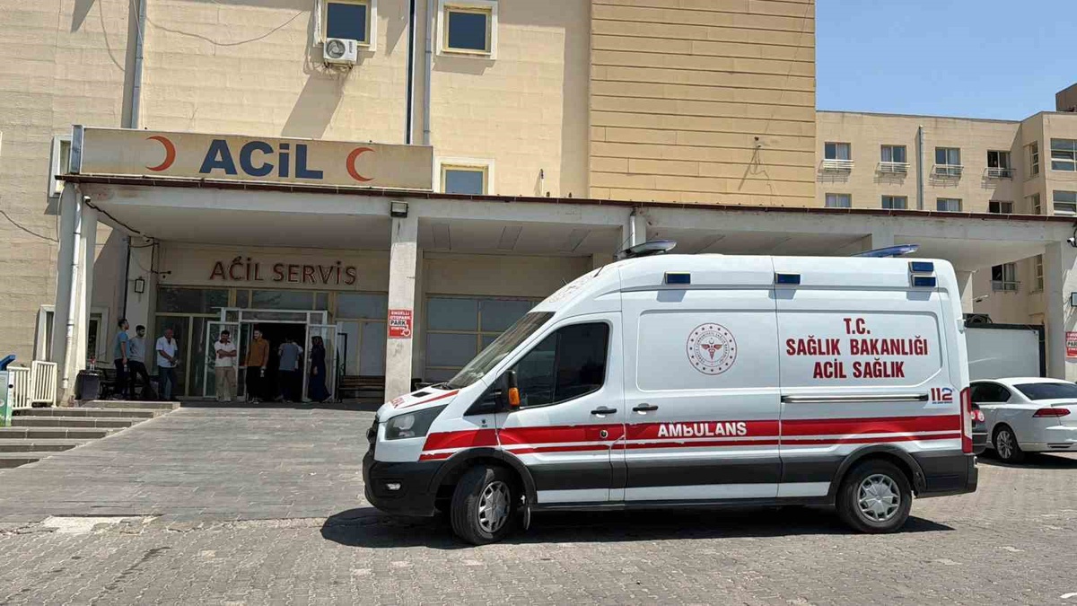 Siverek-Çermik karayolunun 20. kilometresinde otomobil yoldan çıktı, 3 kişi yaralandı
