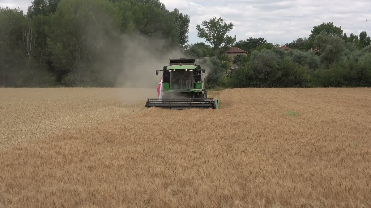 Yozgat\'ta denemede arpada dekara 763, nohutta dekara 233 kilograma kadar verim alındı
