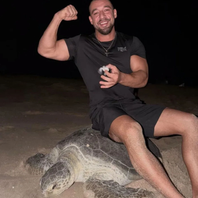 Yumurtlayan deniz kaplumbağasının üzerine oturdu! Görüntüler sonrası özür geldi