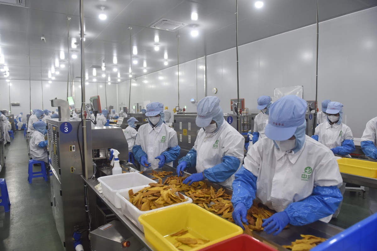 Zhong Bao, 2026 için Çin siparişleriyle kurutulmuş mango kapasitesini artırıyor