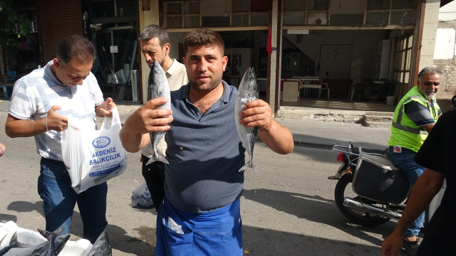Kilis'te palamut 100 liraya düştü, balıkçı çiğ çiğ yedi