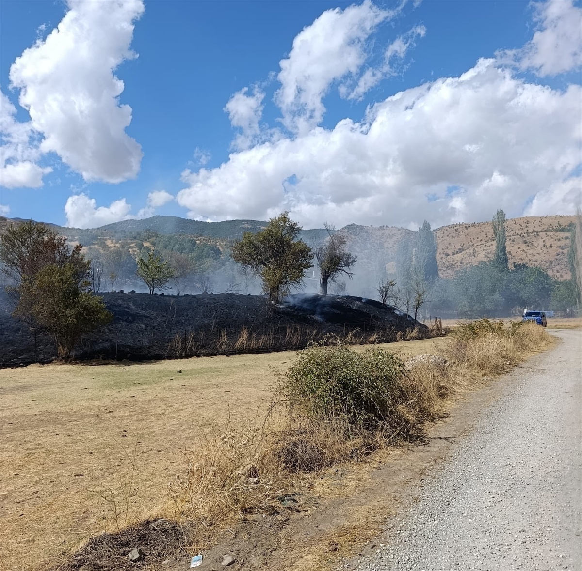 Bitlis Hizan\'da otluk alanda çıkan yangın itfaiyece söndürüldü, 3 dönüm zarar gördü
