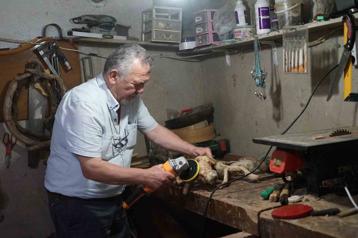 Kastamonu\'da emekli usta, son 5 yıldır ağaç köklerini süs eşyasına dönüştürüyor