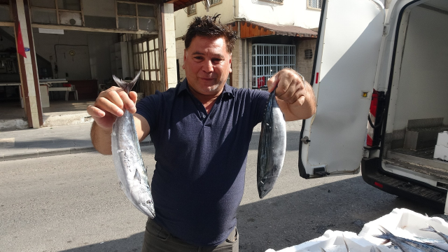 Kilis'te palamut 100 liraya düştü, balıkçı çiğ çiğ yedi