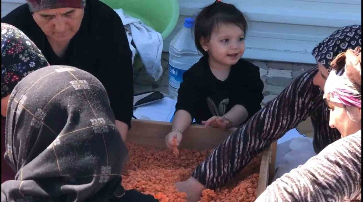 Kütahya Tavşanlı Kuruçay\'da kadınlar imeceyle tarhana hamurunu kurutup kışa hazırladı