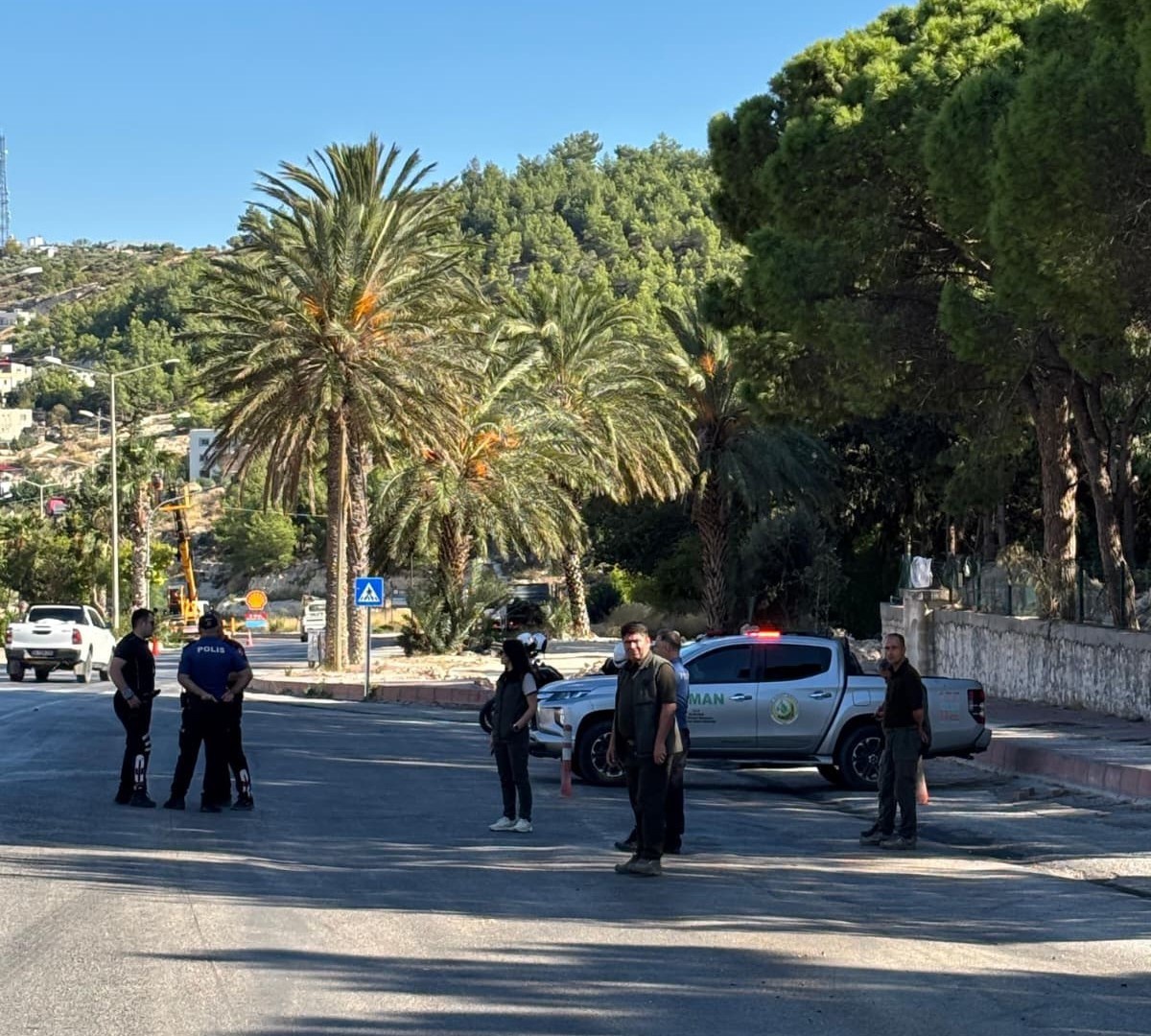 Silifke Orman İşletme Müdürlüğü orman suçlarıyla mücadele için yol kontrolü yaptı