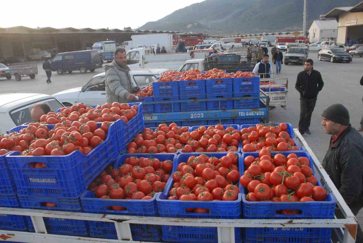 Muğla\'da Ağustos ayında dış ticaret fazlası 95 milyon 434 bin 556 dolar oldu