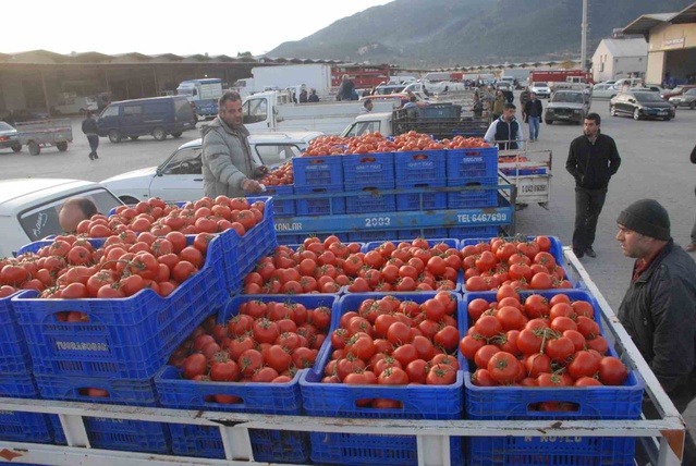 Muğla'da Ağustos ayında dış ticaret fazlası 95 milyon 434 bin 556 dolar oldu
