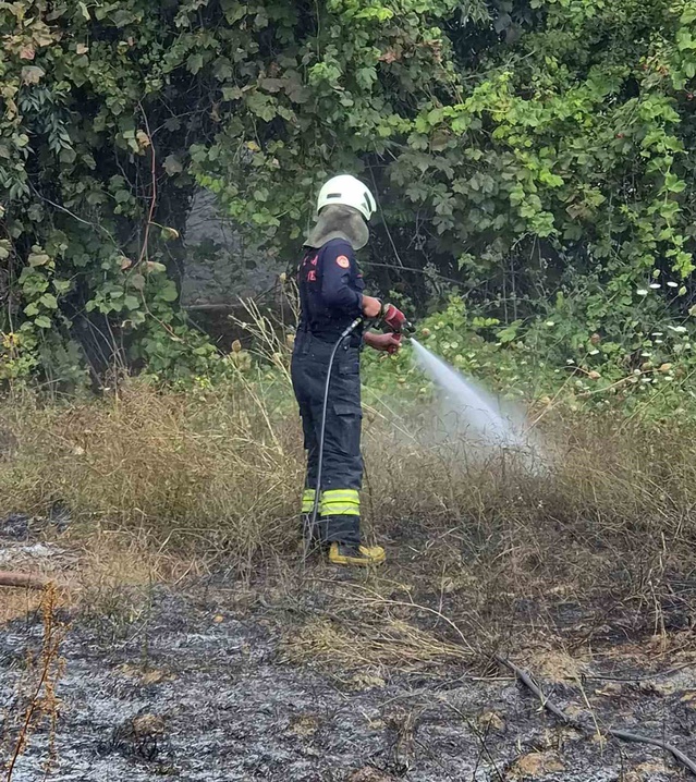 Muğla Menteşe'de temizlik ateşi rüzgarla yayıldı, 2 dönüm otluk alan zarar gördü