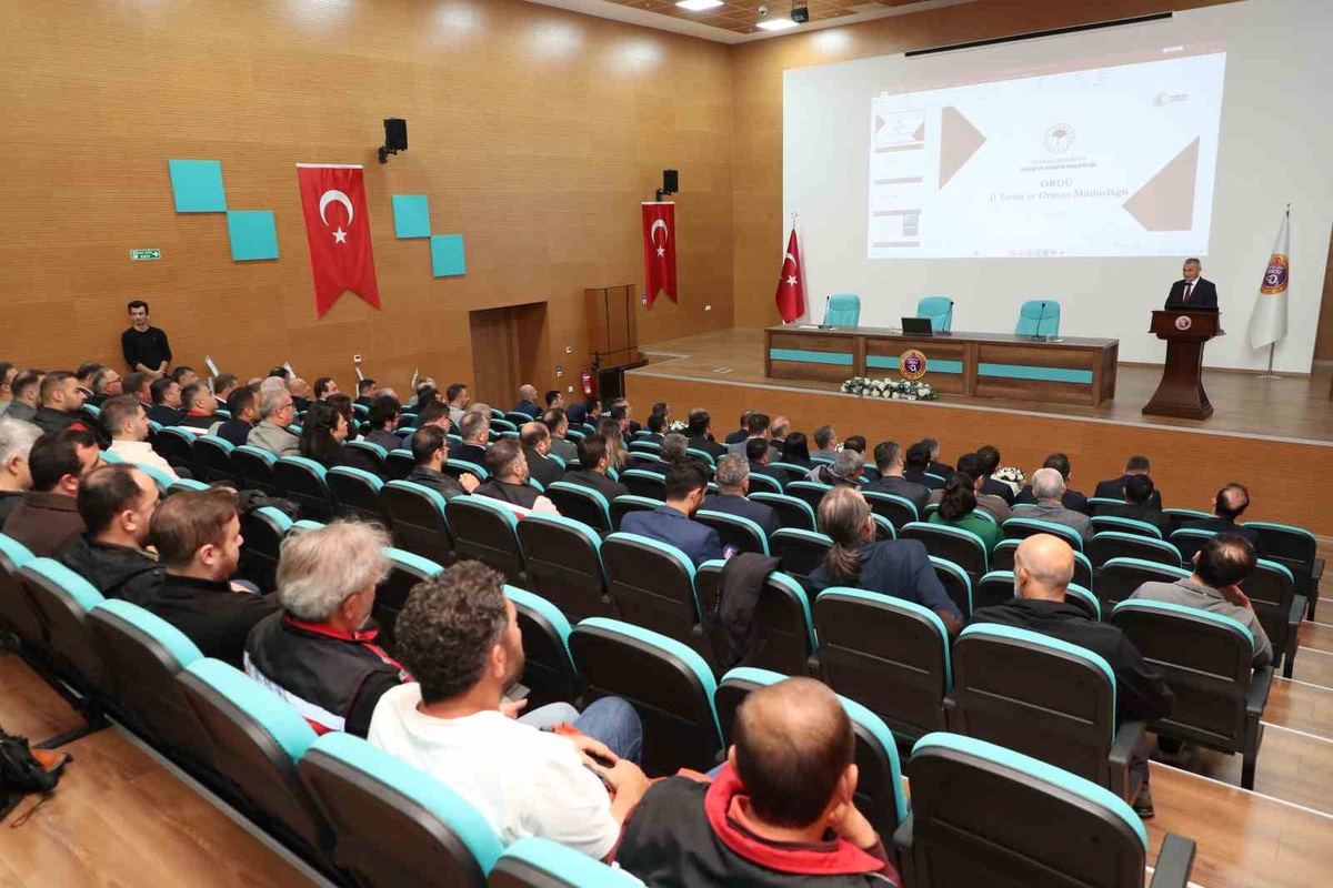 Ordu\'da kahverengi kokarca mücadelesinde 300 bin samuray arısı doğaya salındı