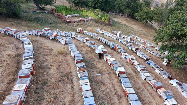 Van Bahçesaray'da arıcı, 10 kovanla başladı, 650 kovana ulaştı, 3 ton bal bekliyor