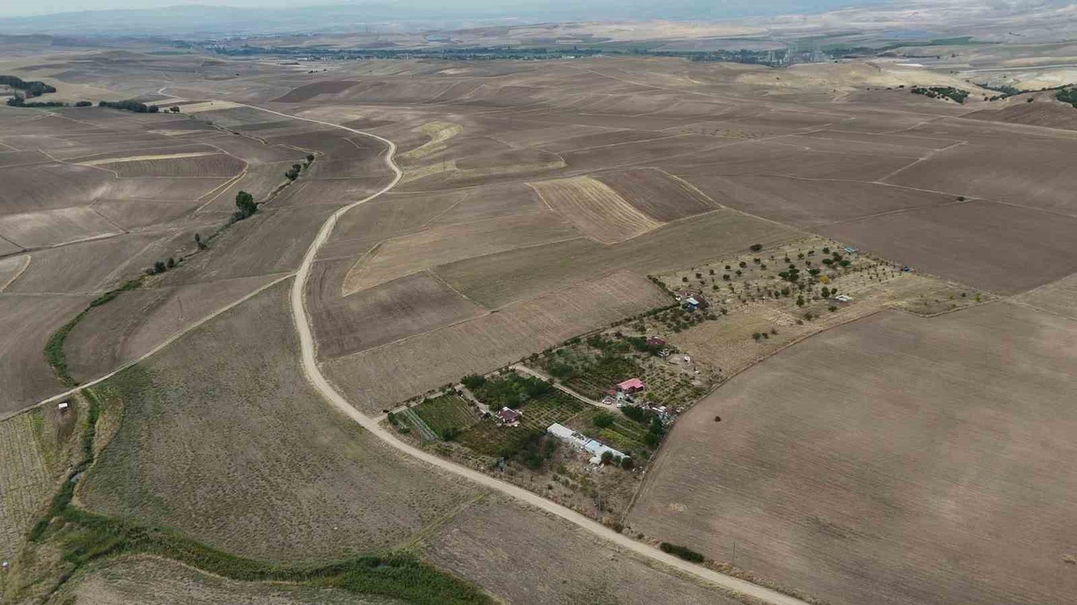 Yozgat\'ta emekli öğretmen Karakoç, 14 dönümlük bozkırı 15 yılda yeşil vahaya çevirdi