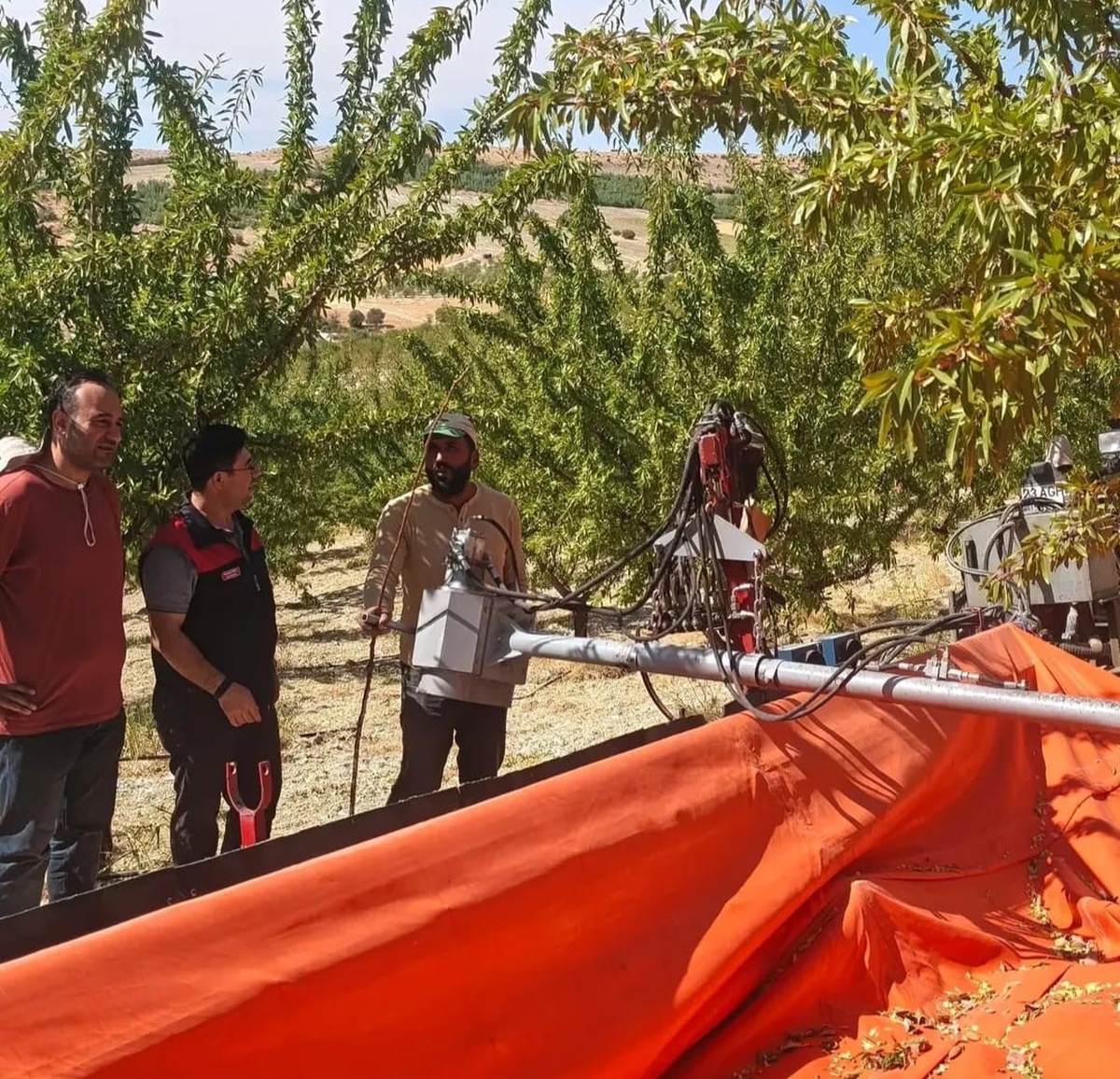 Ağın\'da Tarım ve Orman ekipleri badem üreticilerine hasat ve muhafaza bilgisi verdi