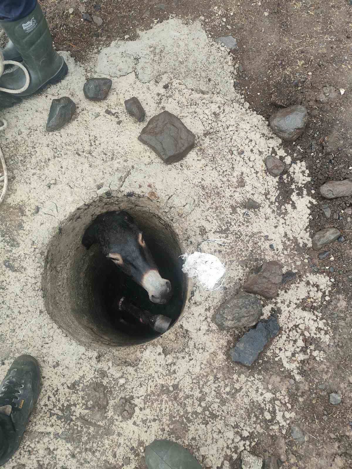 Elazığ Karakoçan\'da kuyuya düşen eşeği itfaiye halatla kurtarıp sahibine teslim etti