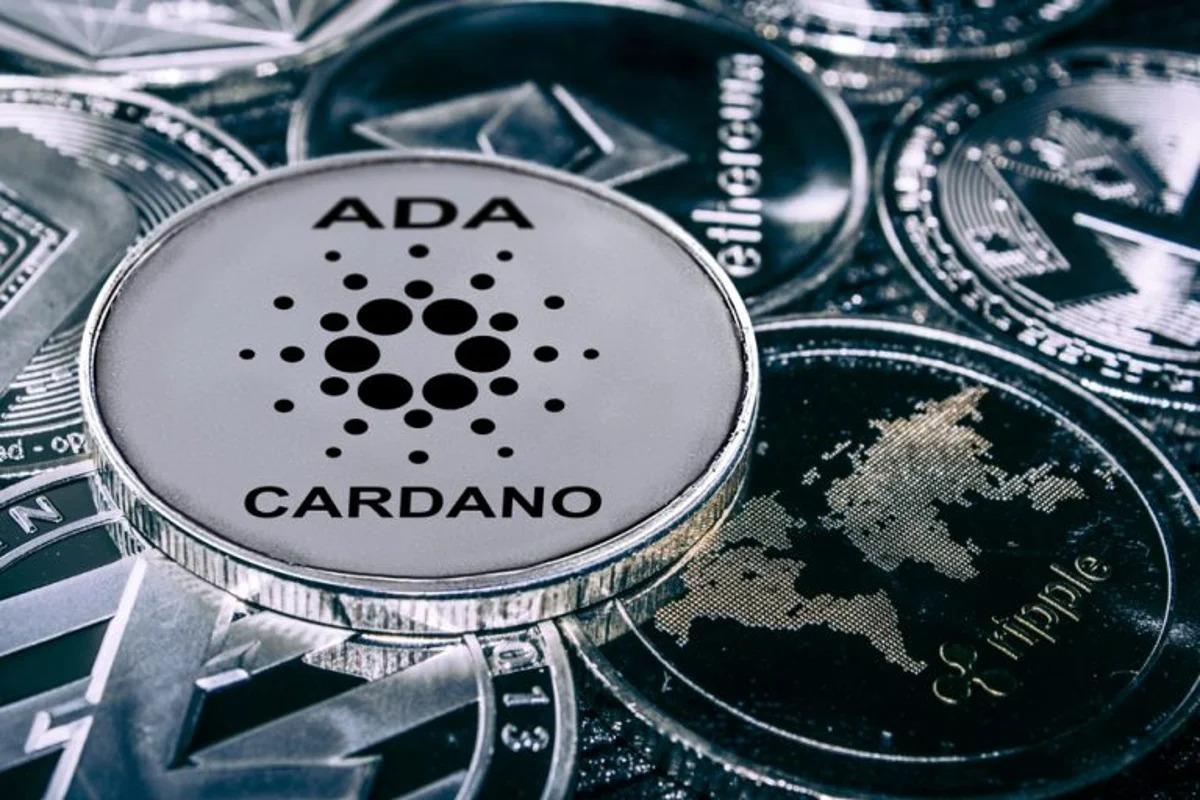 Enerji devinden Cardano hamlesi