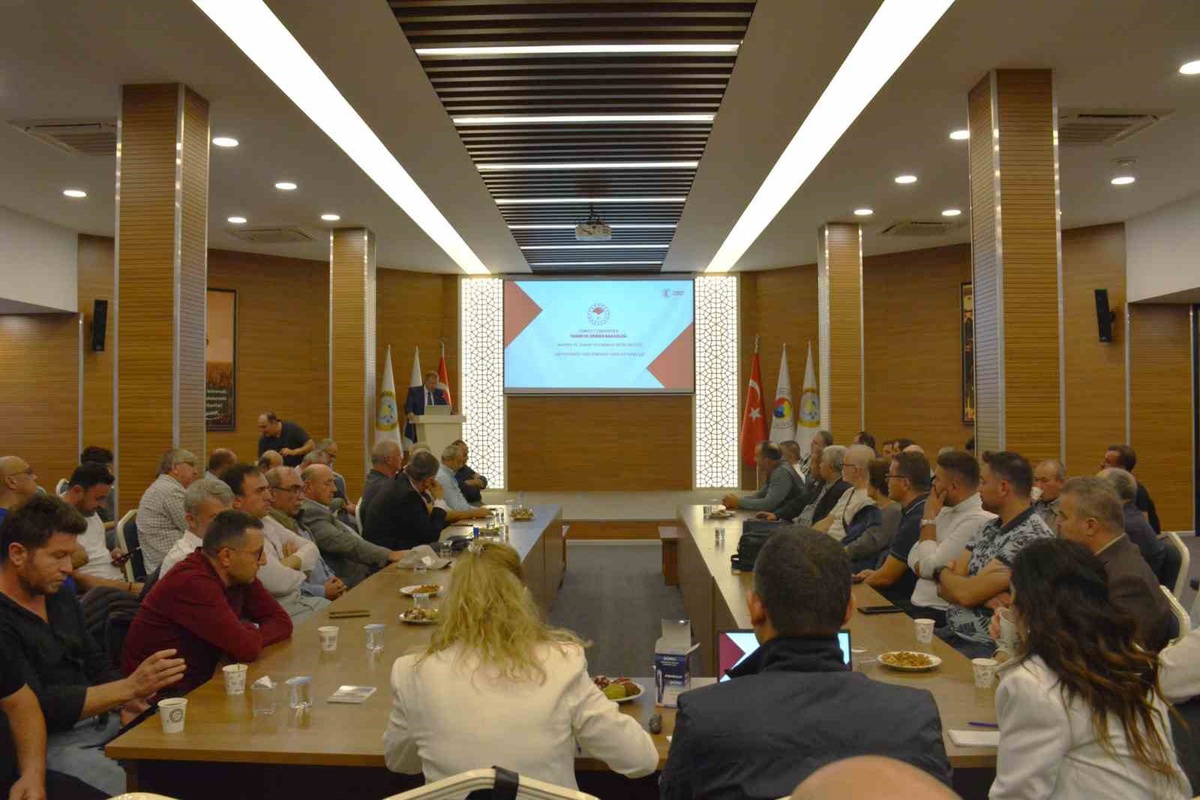 Manisa\'da zeytin ağacı sayısı 2026\'da 38 milyona çıktı, sektör destek ve prim istiyor