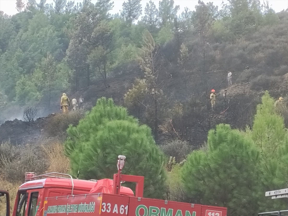 Mersin Bozyazı\'da orman dışı arazideki yangın helikopter ve 7 arazözle söndürüldü