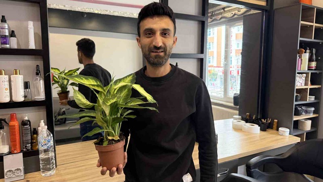 Evdeki bitkiyi yiyen 2 yaşındaki çocuk yoğun bakımlık oldu