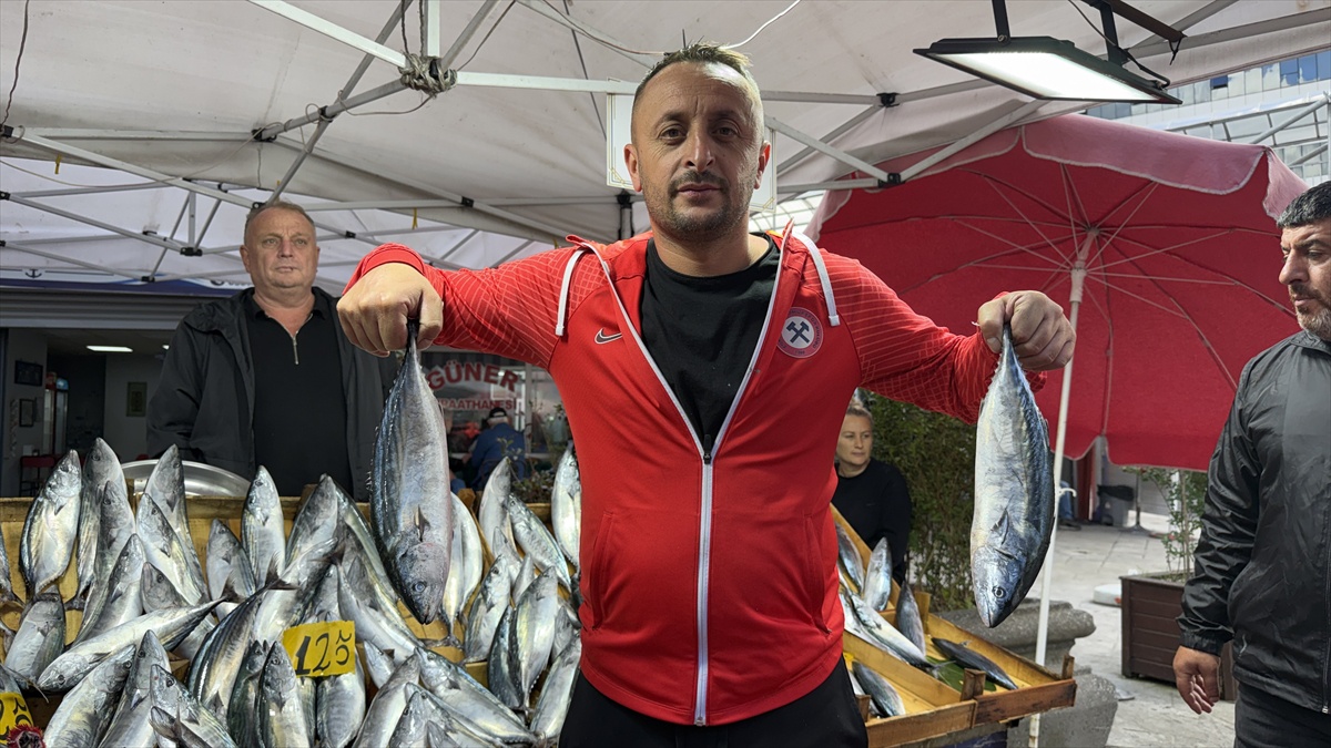 Zonguldak balıkçıları geçen ay 1000 tona yakın balıkla limanlara döndü