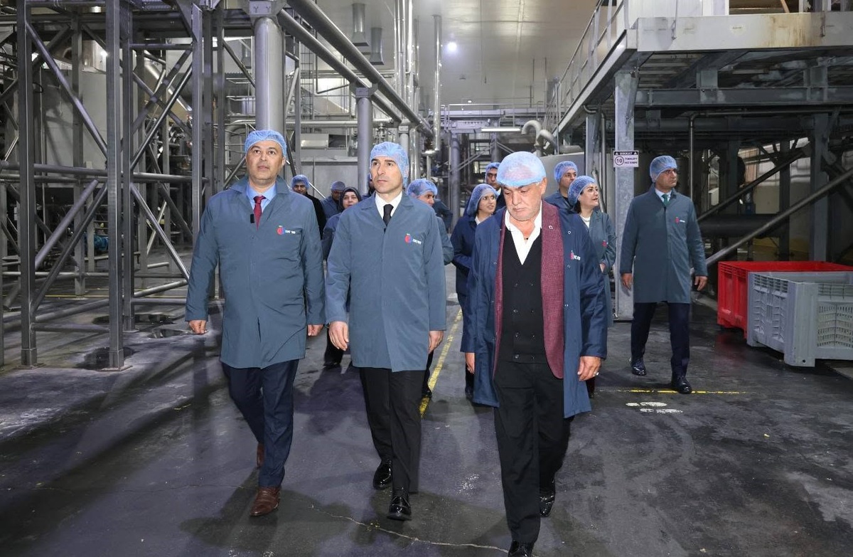 Afyonkarahisar Valisi Aktaş, Emirdağ\'da dondurulmuş patates üretimini inceledi
