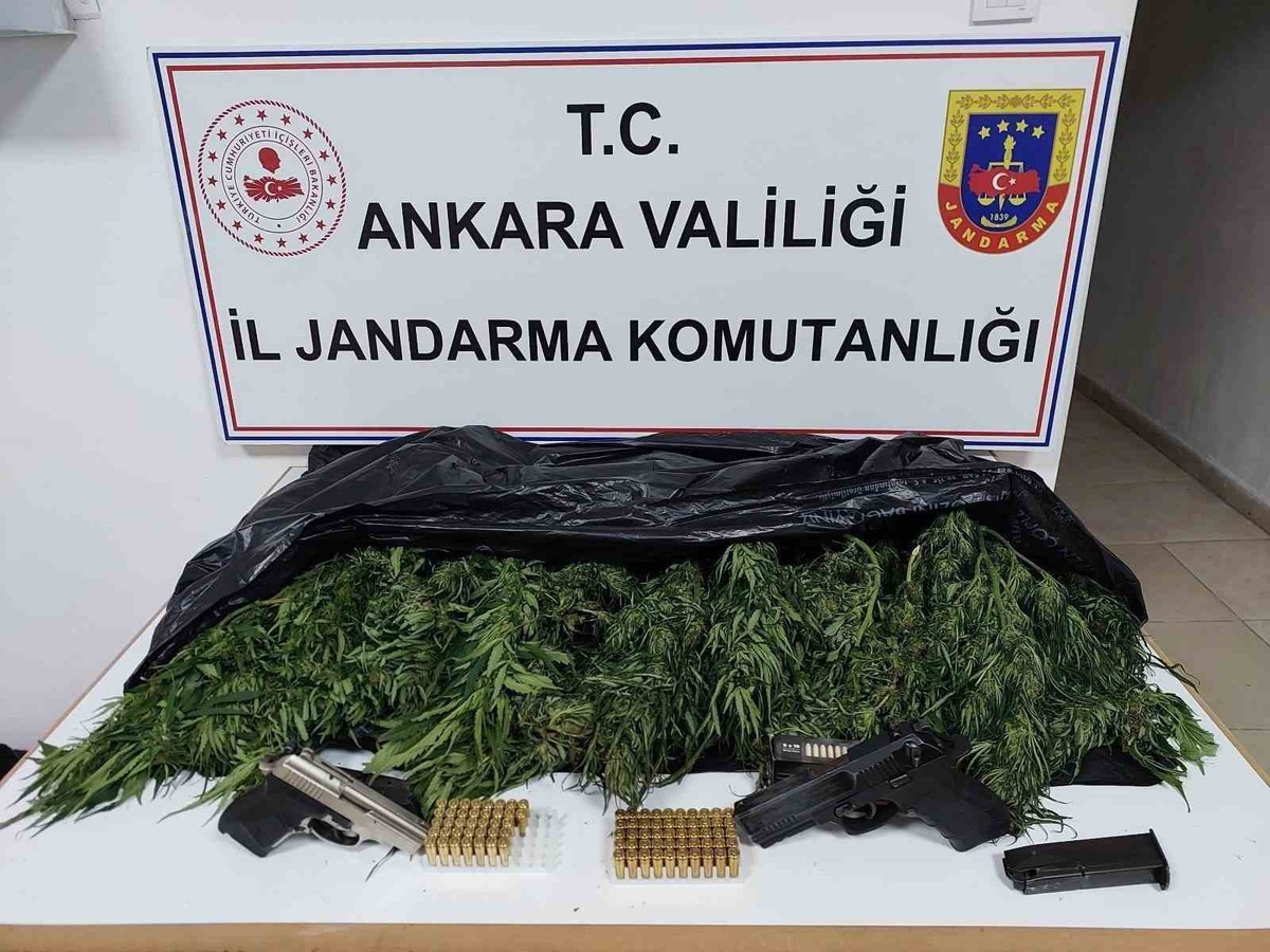 Ankara Elmadağ\'da jandarma 1 şüpheliyi gözaltına aldı, 2 kilo 600 gram skunk bulundu