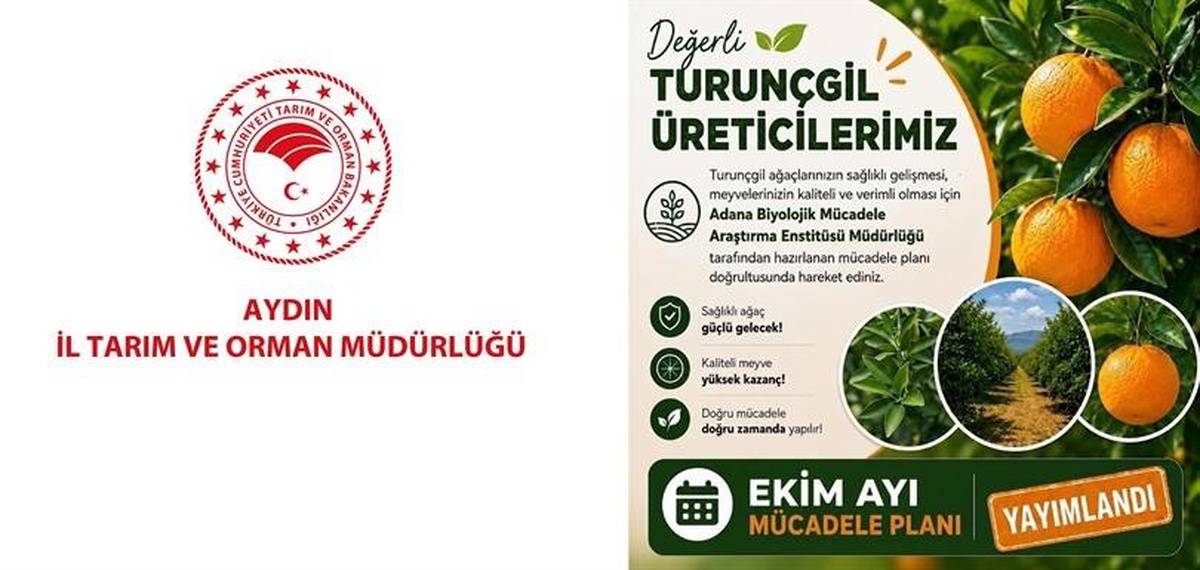 Aydın İl Tarım ve Orman Müdürlüğü, turunçgil üreticilerine Ekim takvimini hatırlattı