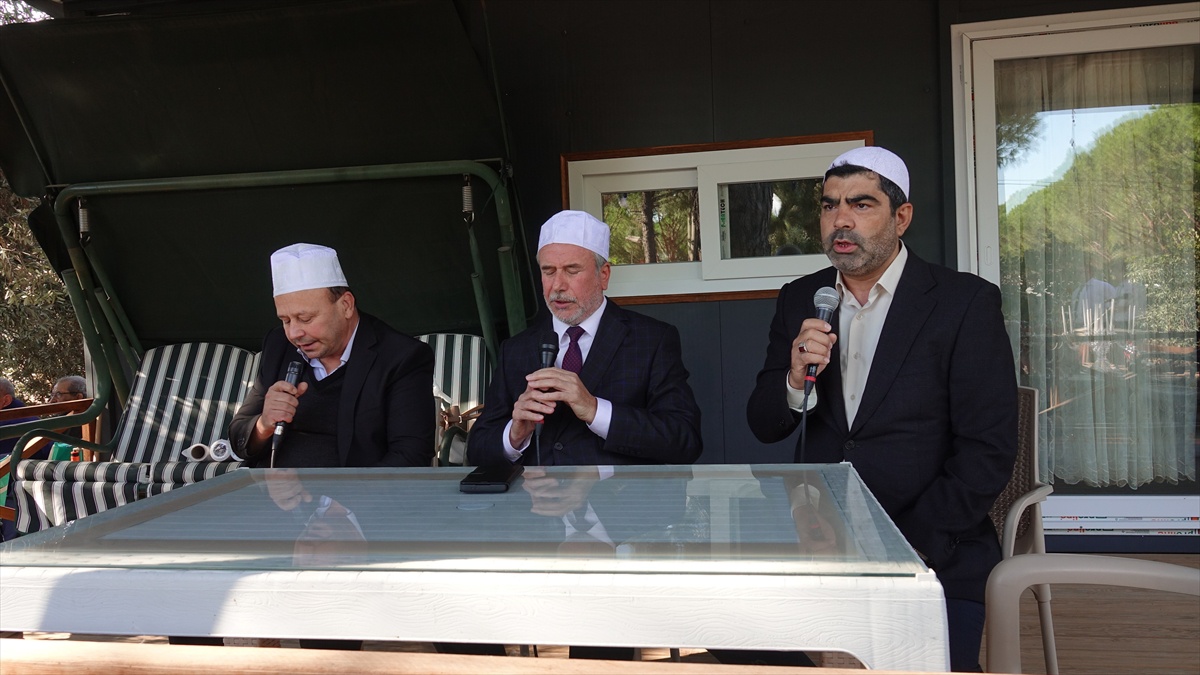 Balıkesir Ayvalık\'ta zeytin hasadı törenle başladı, ilk zeytinyağı elde edildi