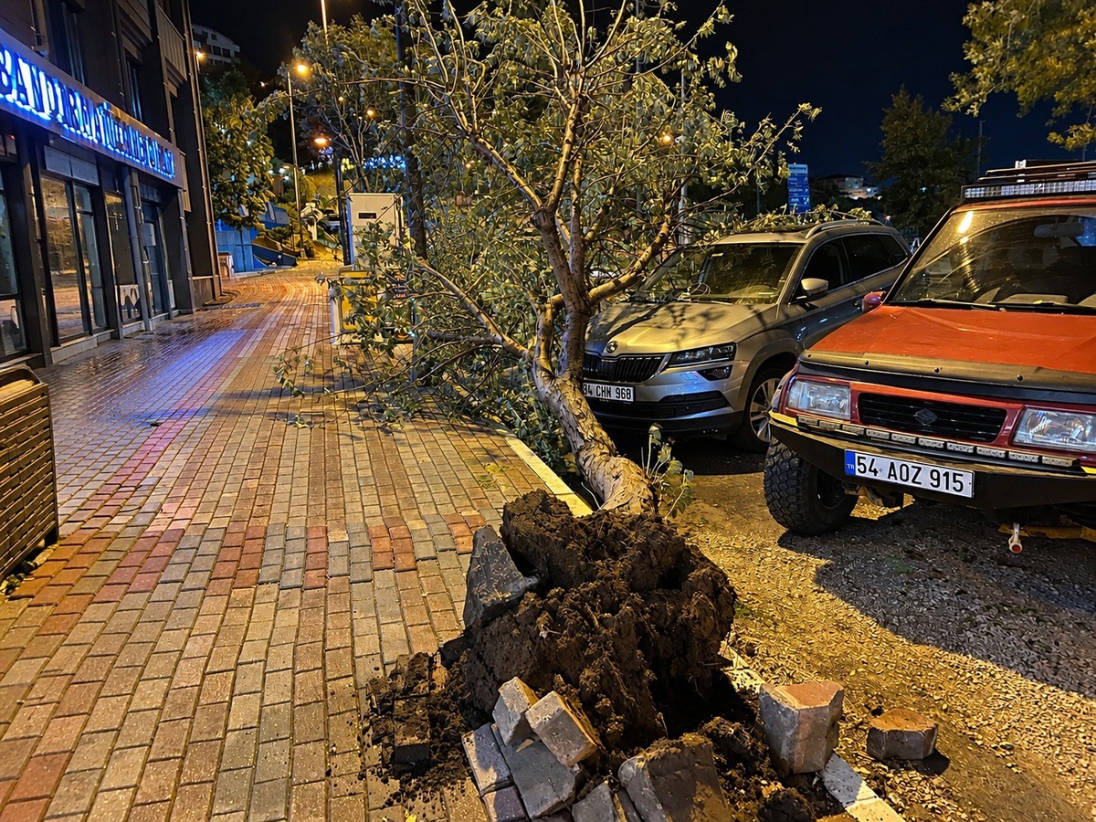 Bandırma\'da fırtınada devrilen iğde ağacı park halindeki otomobile hasar verdi