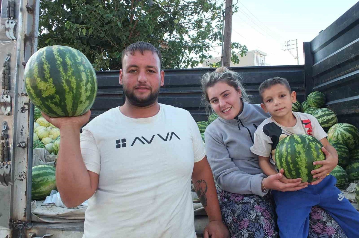 Burhaniye\'de güz karpuzunun fiyatı üreticiyi sevindirdi, 3 tanesi 100 lira