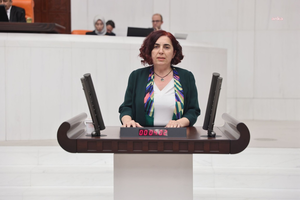 DEM Partili Çelenk, Cansu Badur\'un Afganistan\'da tutulduğu iddiasını Meclis\'e taşıdı