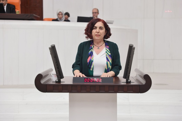 DEM Partili Çelenk, Cansu Badur'un Afganistan'da tutulduğu iddiasını Meclis'e taşıdı