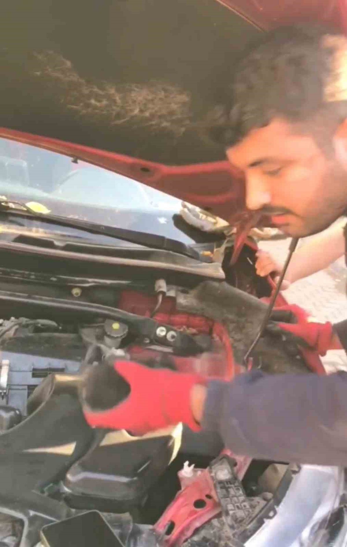 Diyarbakır\'da aracın motoruna sıkışan 3 yavru kedi itfaiyece kurtarıldı