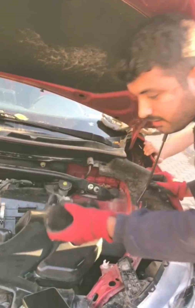 Diyarbakır'da aracın motoruna sıkışan 3 yavru kedi itfaiyece kurtarıldı