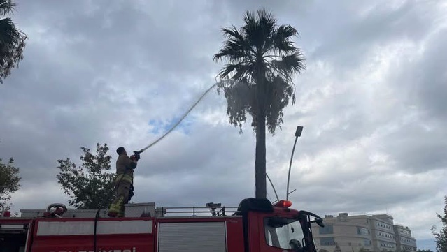 İtfaiye, Hatay İskenderun'da yıldırım isabet eden ağaçtaki yangını söndürdü