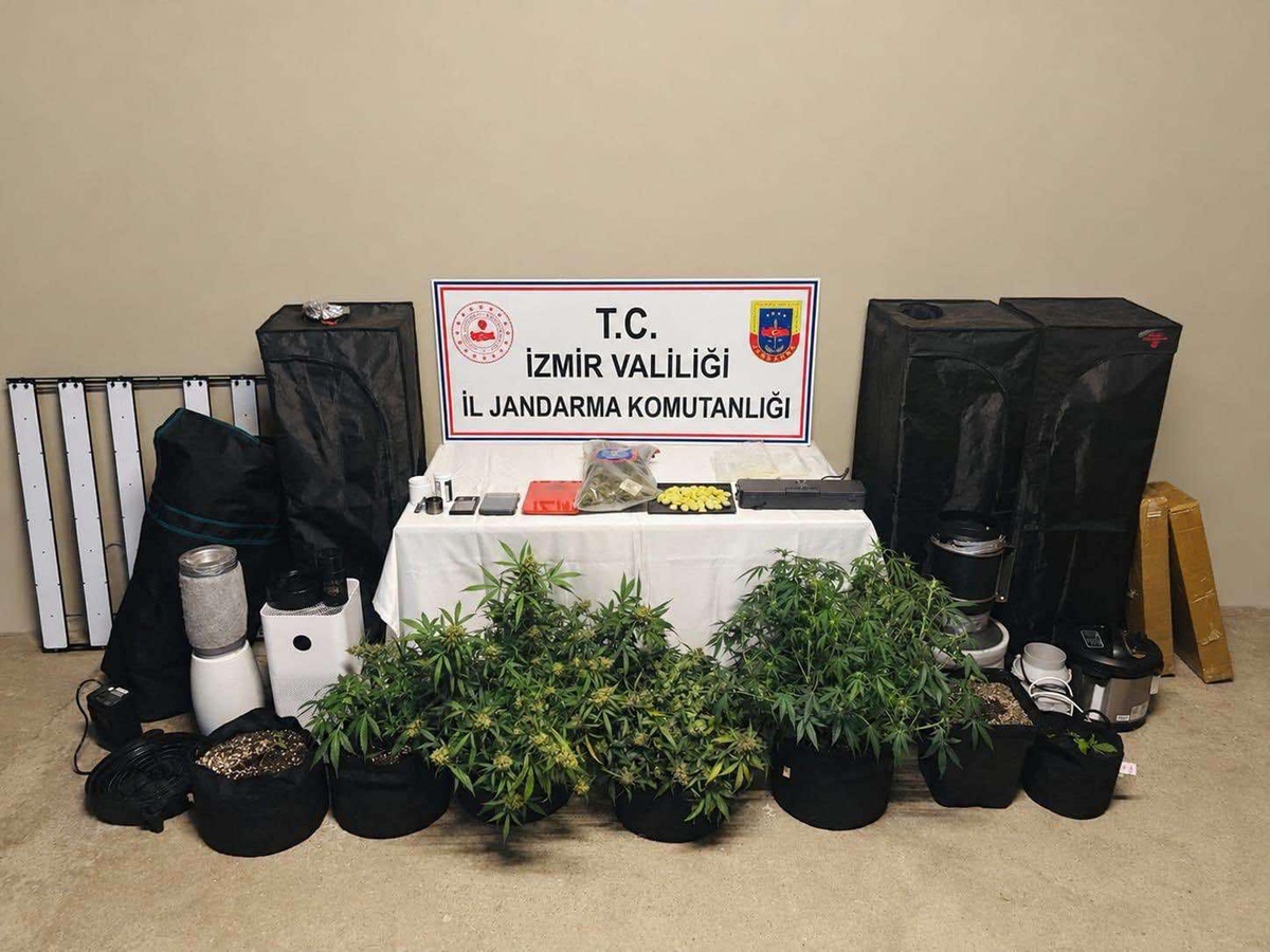 İzmir Karşıyaka\'da jandarma 7 kök skunk ele geçirdi, 1 şüpheli gözaltında