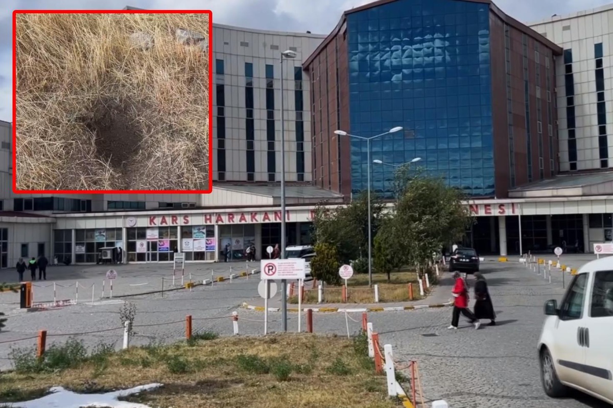 Kars\'ta 1 günlük bebeğin ölümü: Tutuklanan anne ve anneanne suçu birbirine attı