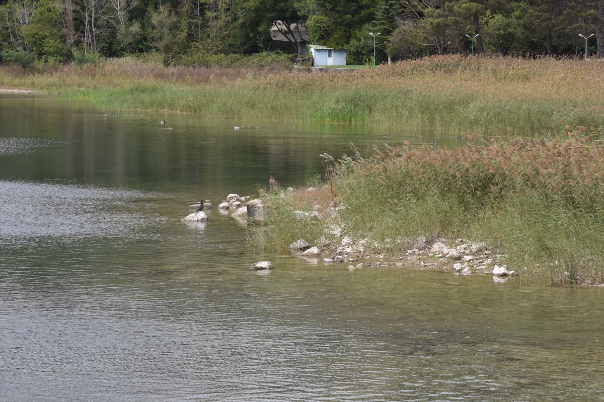 Sapanca Gölü\'nde su seviyesi geçen yılın aynı dönemine göre 75 santimetre arttı