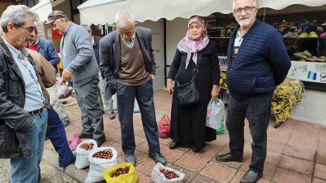 Sinop Erfelek'te kuzu kestanesi hasadı başladı, kilosu 600 liradan satışta