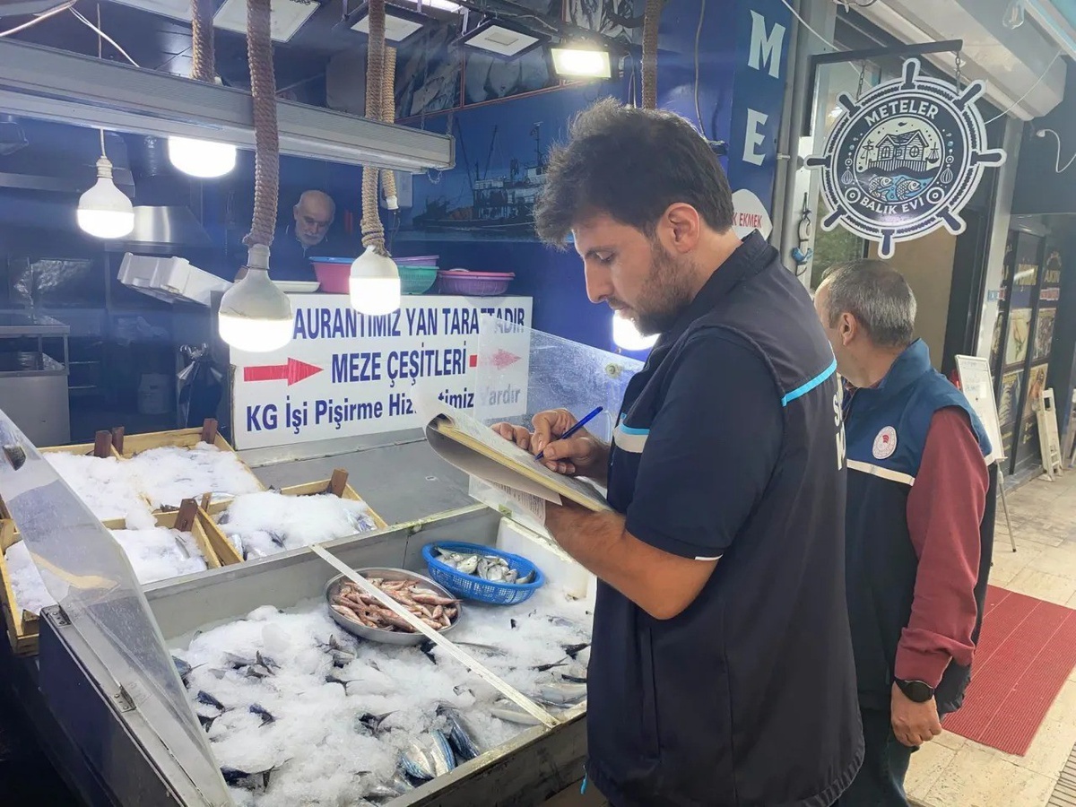 Sinop\'ta balık satış noktaları av sezonu denetiminde kurallara uygun bulundu