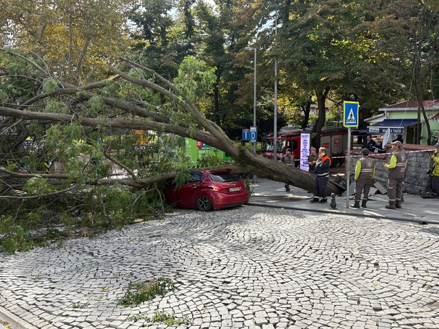 Şişli'de devrilen ağaç park halindeki otomobile zarar verdi, cadde trafiğe kapandı