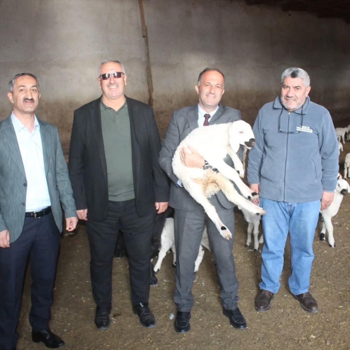 Yozgat Yerköy\'de 600 küçükbaşlı işletmeye yüzde 50 hibeli KOP çadırı temin edildi