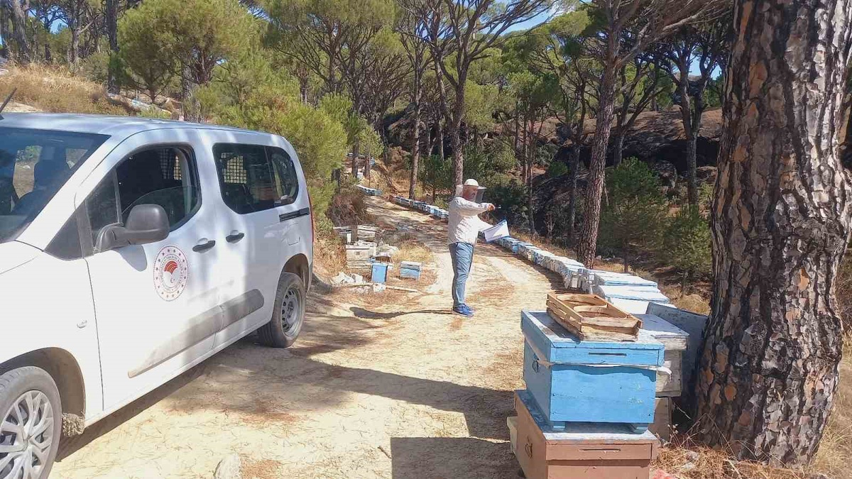 Aydın Bozdoğan\'da İlçe Tarım ekipleri arılı kovan kaydını güncelliyor