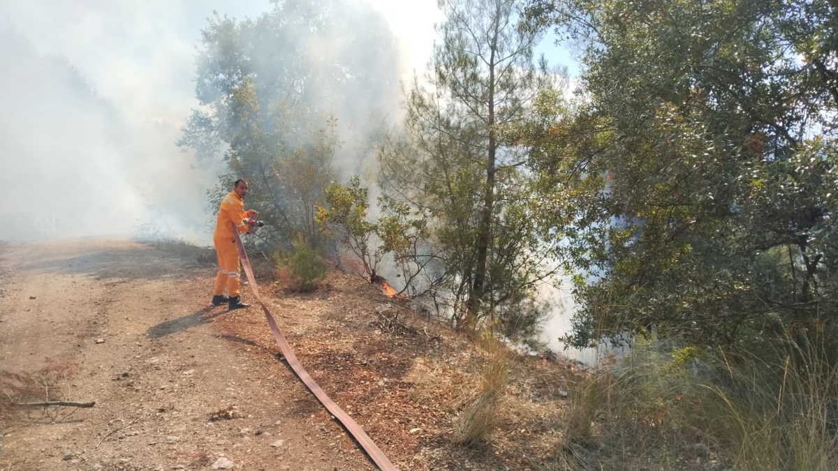 Bursa Keles\'te ormanlık alandaki duman ihbarına helikopter de sevk edildi