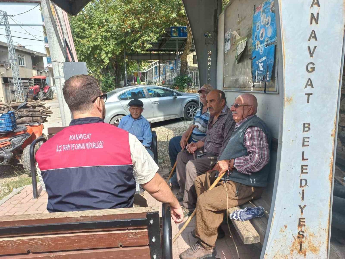 Manavgat\'ın Burmahan kirazı için coğrafi işaret başvuru çalışmaları başladı