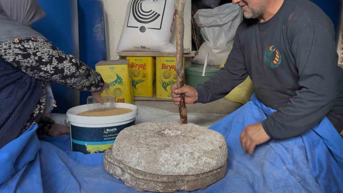 Sakarya Kaynarca\'da Ceylan çifti 90 yıllık darı geleneğini taş değirmende yaşatıyor