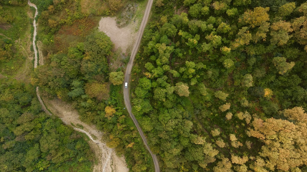 Sinop Türkeli\'de sonbahar renklerinin hakim olduğu ormanlar dronla görüntülendi
